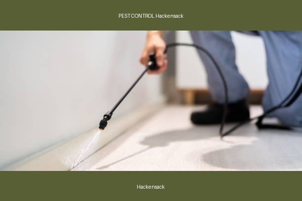 PEST CONTROL Hackensack